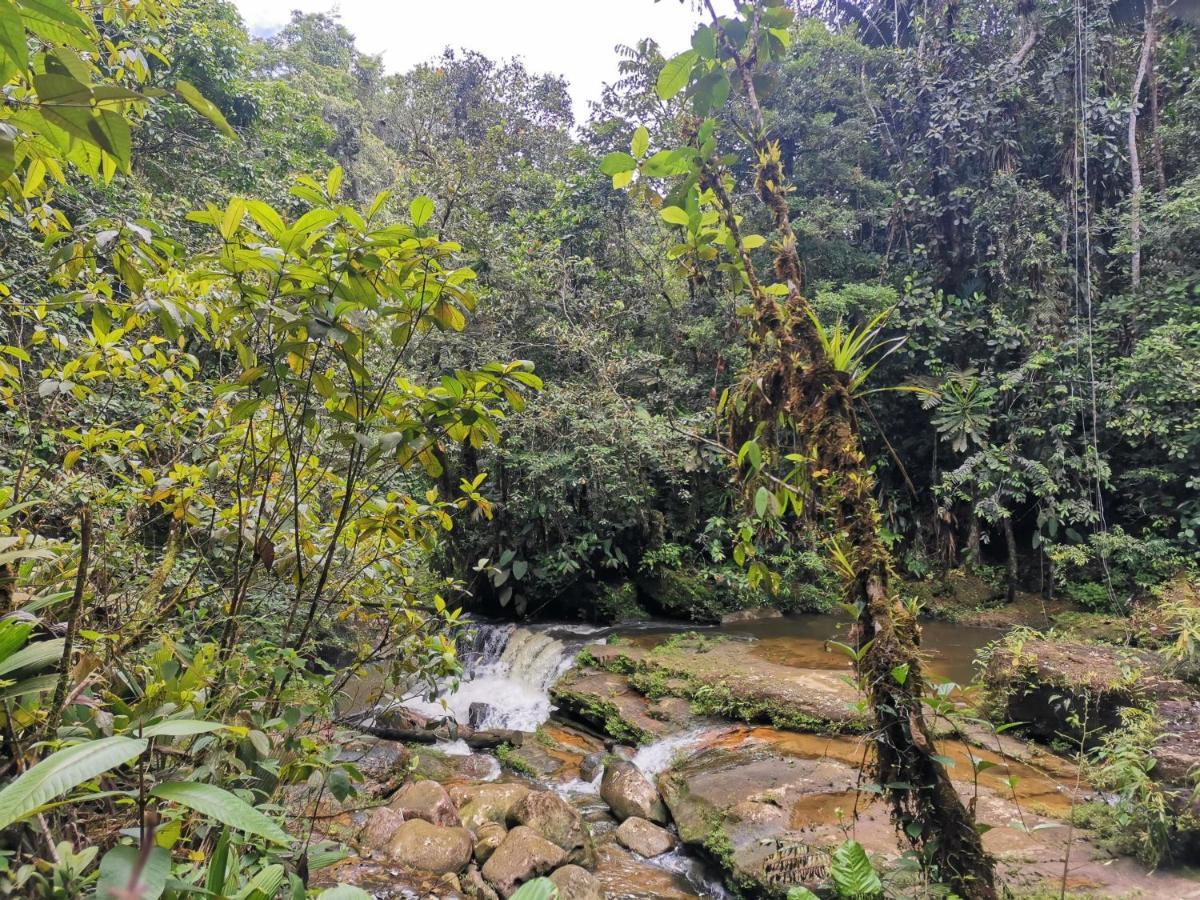 Posada Kauai Mocoa 외부 사진