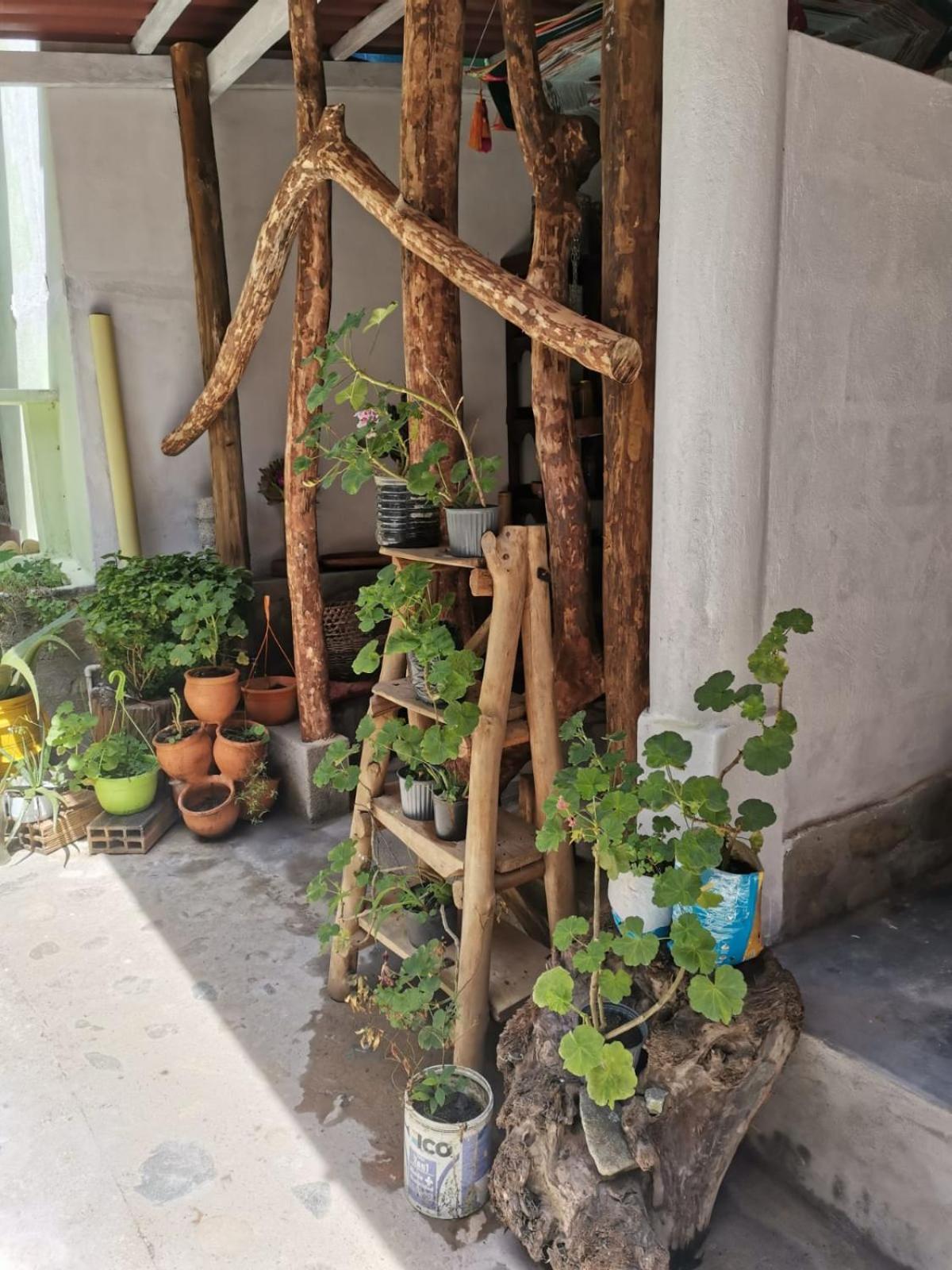 Posada Kauai Mocoa 외부 사진